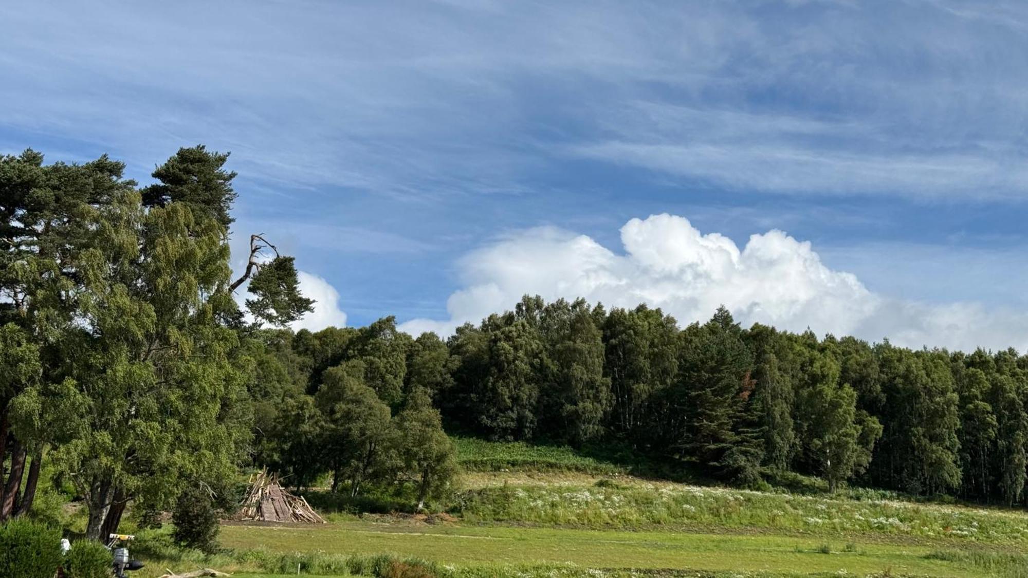 Wildcat On Spey *